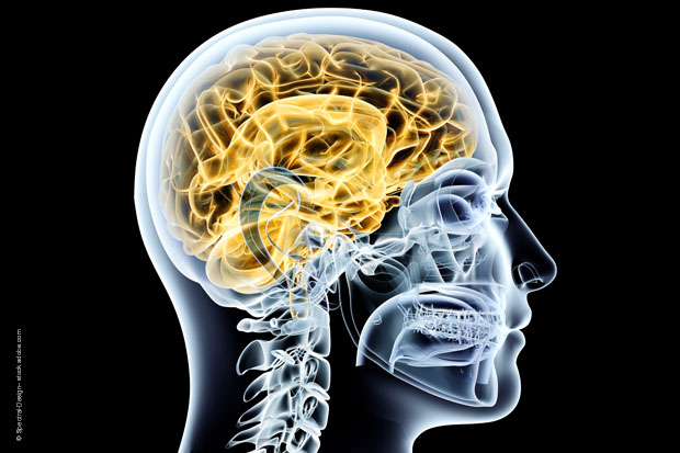 beitragsbild-neurologische-studie